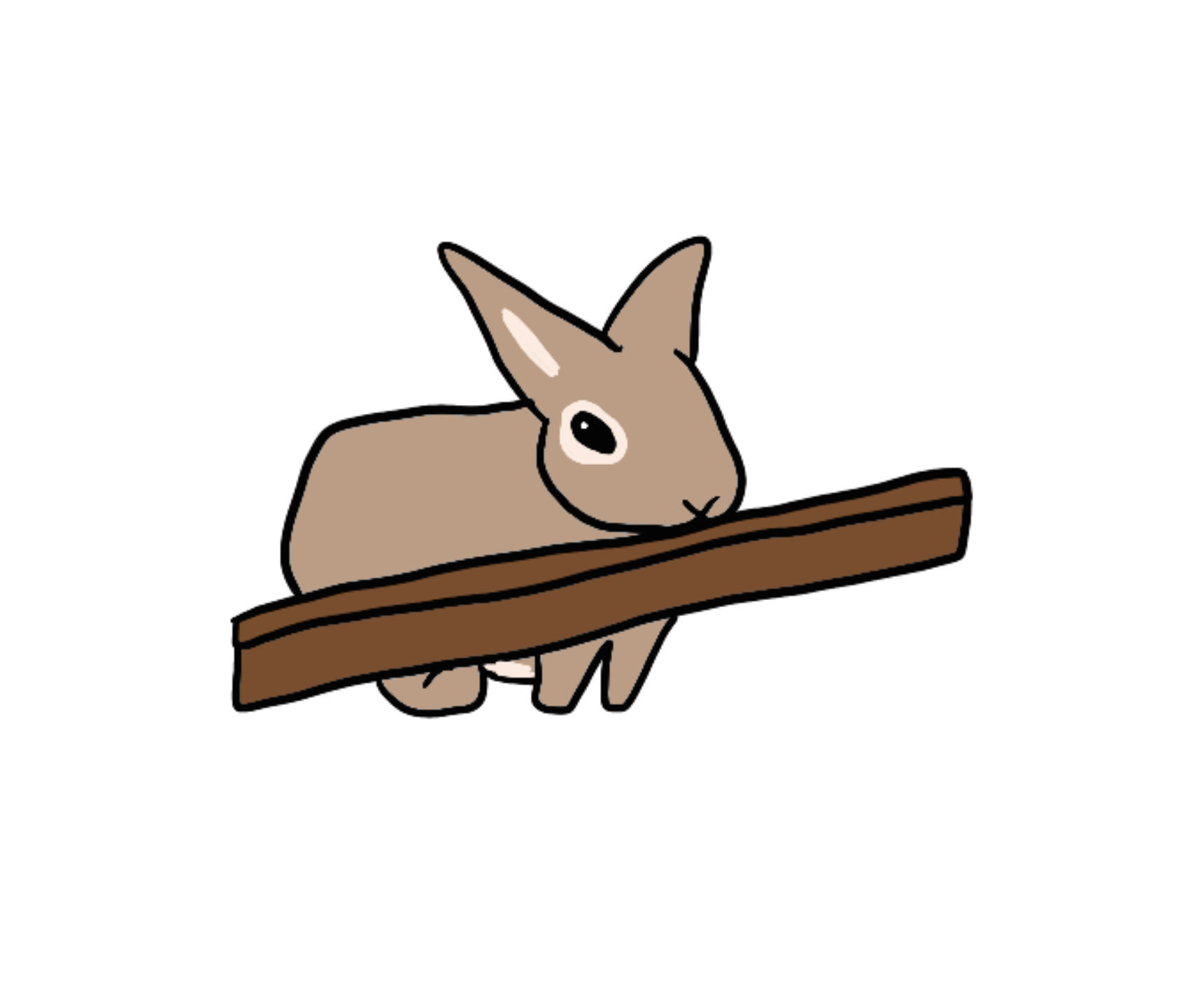 Bunny chewing