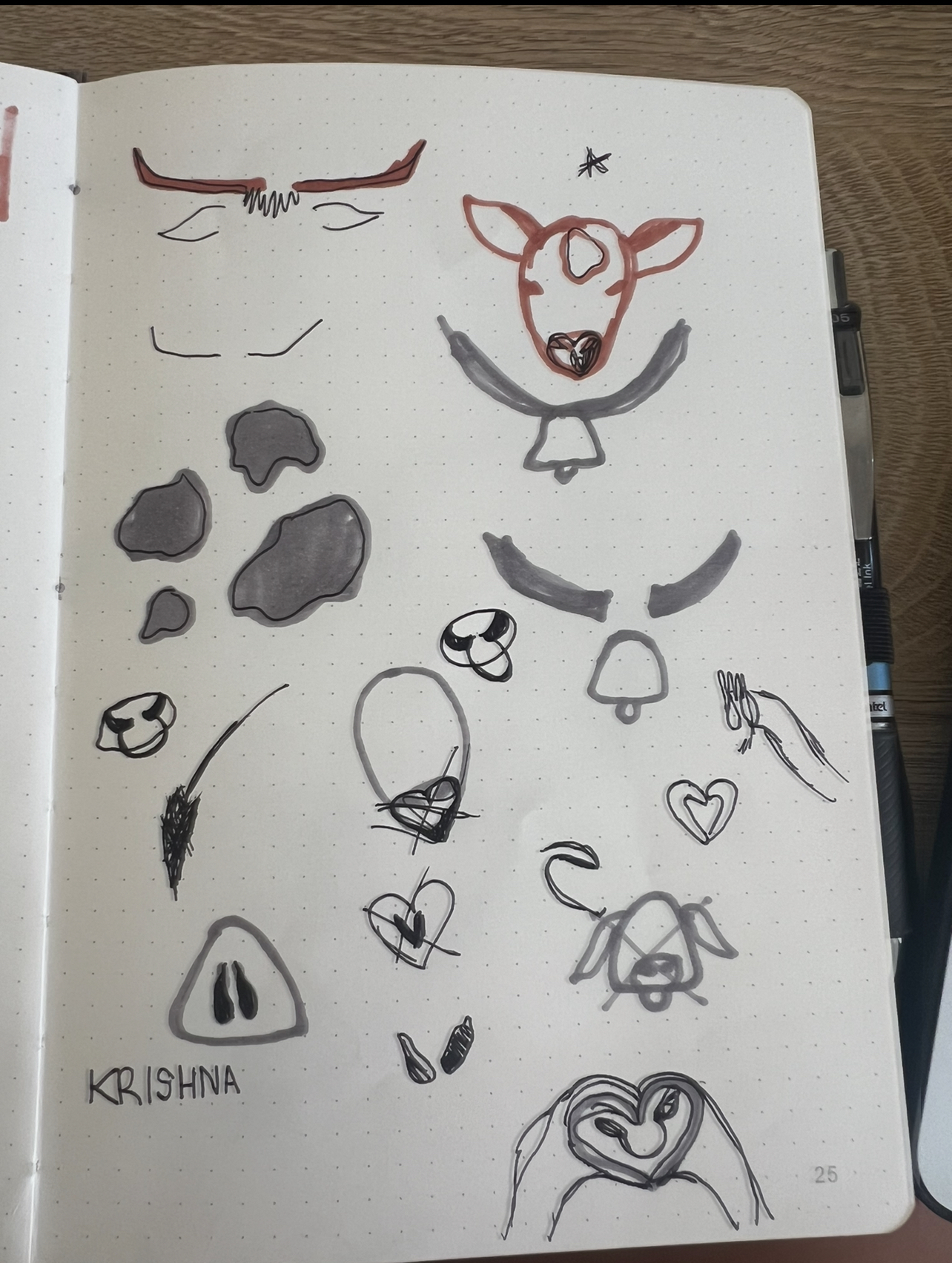 Sketches of cows