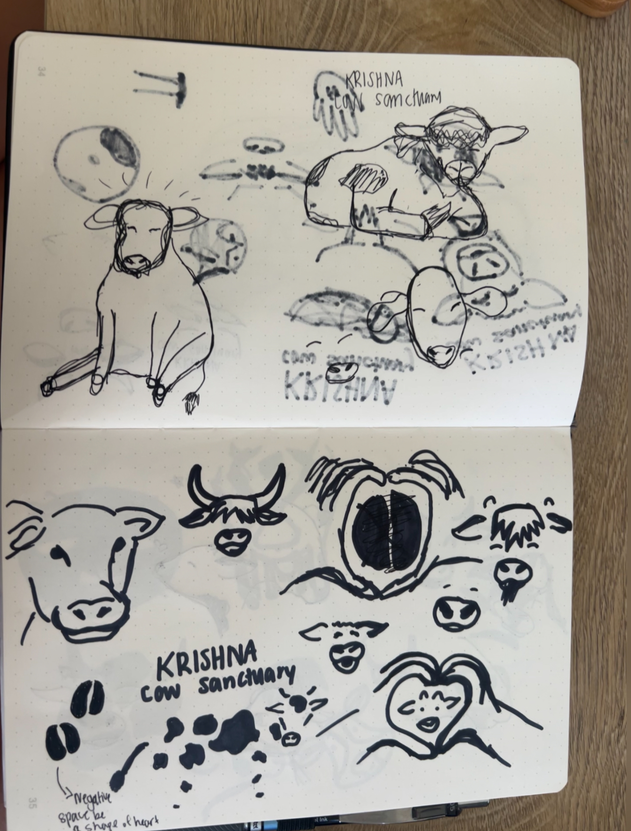 Sketches of cows