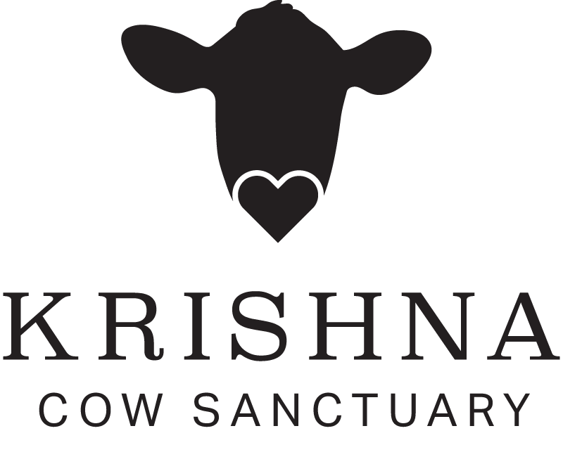 Krishna Cow Sanctuary Logo Design