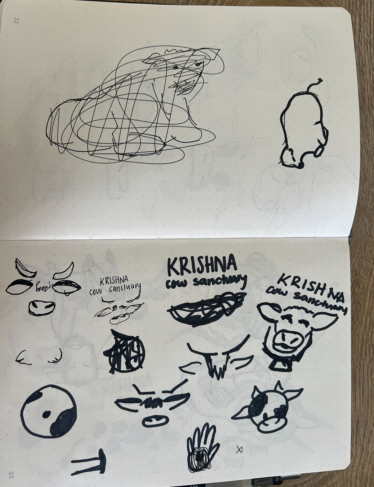 Sketches of cows